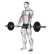 บาร์เบลเคิร์ล วิธีเล่น